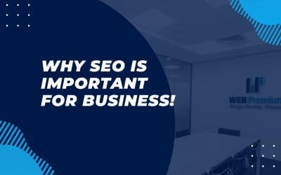 5 Reasons why SEO is important for business!